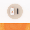 Herbin Orange Indien 6 Ink Cartridges