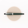 Aurora Ipsilon Satin Fountain Pen Green