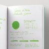 Caran d'Ache Delicate Green Ink Bottle 50 ml