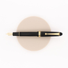 Pilot Custom 742 Posting Penna Stilografica Nera
