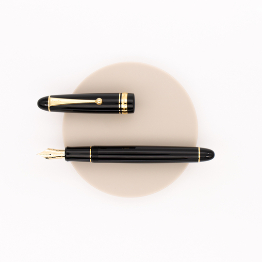 Pilot Custom 742 Posting Penna Stilografica Nera