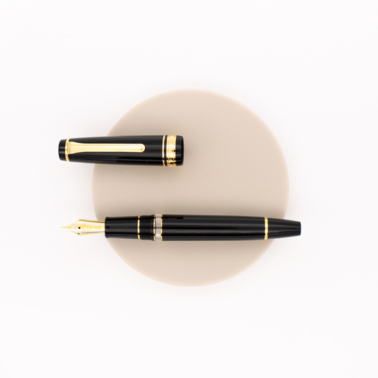 Sailor Professional Gear Realo Penna Stilografica Nera