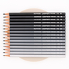 Caran d'Ache Set di 15 Matite Graphite Line con tutte le durezze