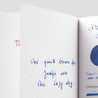 Diamine Shimmering Starlit Sea Ink Bottle 50 ml