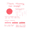 Diamine Shimmering Pink Champagne Ink Bottle 50 ml
