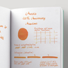 Aurora 100th Anniversary Orange Ink Bottle 55 ml Special Edition