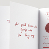 Diamine Shimmering Dragon Blood Ink Bottle 50 ml