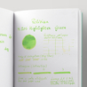 Pelikan M205 Duo Green Highlighter Ink Bottle 30 ml