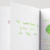 Pelikan M205 Duo Green Highlighter Ink Bottle 30 ml
