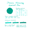 Diamine Shimmering Spearmint Diva Ink Bottle 50 ml