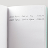 Platinum Plaisir Fountain Pen Blue