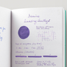 Diamine Amazing Amethyst Inchiostro 30 ml