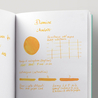 Diamine Amber Inchiostro 30 ml