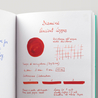 Diamine Ancient Copper Inchiostro 30 ml