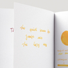 Diamine Amber Inchiostro 30 ml