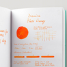 Diamine Blaze Orange Ink Bottle 30 ml