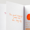 Diamine Blaze Orange Ink Bottle 30 ml