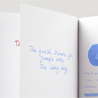 Diamine China Blue Inchiostro 30 ml