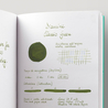 Diamine Classic Green Inchiostro 30 ml