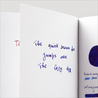 Diamine Inkvent Happy Holidays Inchiostro 50 ml Blue Edition Shimmer & Sheen