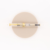Sailor 1911 Standard Fountain Pen Demonstrator & Gold
