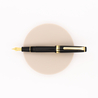 Sailor Professional Gear Slim Penna Stilografica Nera & Oro