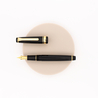 Sailor Professional Gear Slim Penna Stilografica Nera & Oro