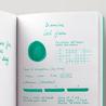 Diamine Cool Green Inchiostro 30 ml
