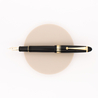 Pilot Custom 743 Falcon Penna Stilografica Nera
