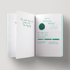 Diamine Delamere Green Inchiostro 30 ml