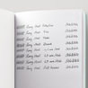 Lamy Studio Fountain Pen Glacier 2020 Special Edition