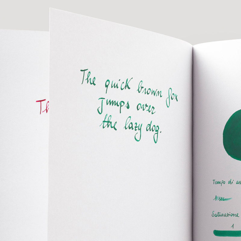 Diamine Delamere Green Inchiostro 30 ml