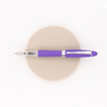 Aurora Ipsilon Demo Colors Fountain Pen Purple & Rhodium