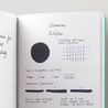 Diamine Eclipse Ink Bottle 30 ml