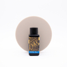 Diamine Florida Blue Ink Bottle 30 ml