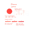Diamine Flower Gerbera Inchiostro 30 ml