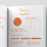 Diamine Guitar Honey Burst Ink Bottle 30 ml