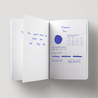Diamine Flower Iris Ink Bottle 30 ml