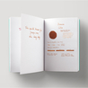 Diamine Ochre Ink Bottle 30 ml