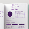 Colorverse Project Ink No. 003 Deep Purple Inchiostro 65 ml