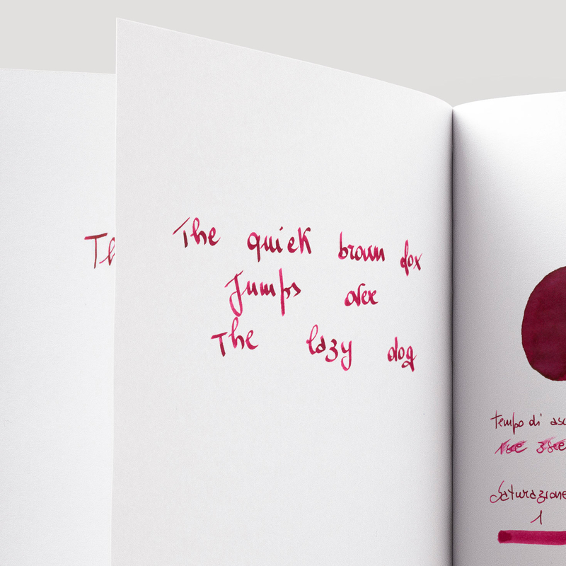 Colorverse Project Ink No. 004 Dirty Red Inchiostro 65 ml