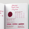 Colorverse Project Ink No. 004 Dirty Red Inchiostro 65 ml