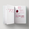 Colorverse Project Ink No. 004 Dirty Red Inchiostro 65 ml