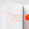 Diamine Orange Inchiostro 30 ml