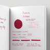 Diamine Oxblood Inchiostro 30 ml