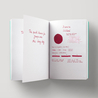 Diamine Oxblood Inchiostro 30 ml