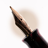 Twsbi Draco Penna Stilografica Edizione Limitata