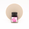 Visconti Van Gogh Souvenir De Mauve Inchiostro 30 ml
