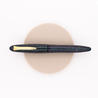 Platinum Izumo Raden Maki-e Fountain Pen Galaxy