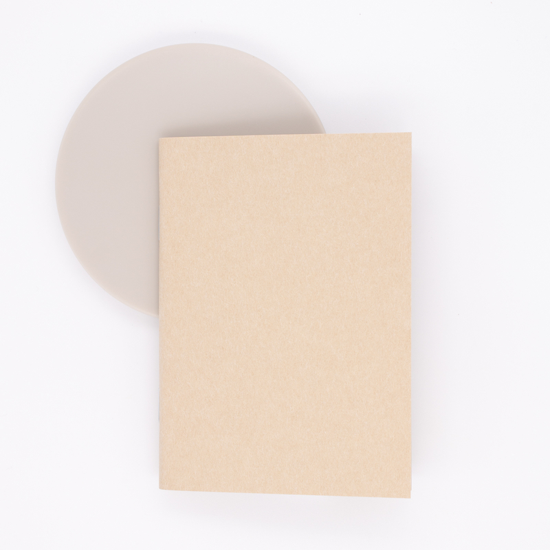 Traveler's Notebook Refill 009 Passport Size Quaderno con Carta Kraft
